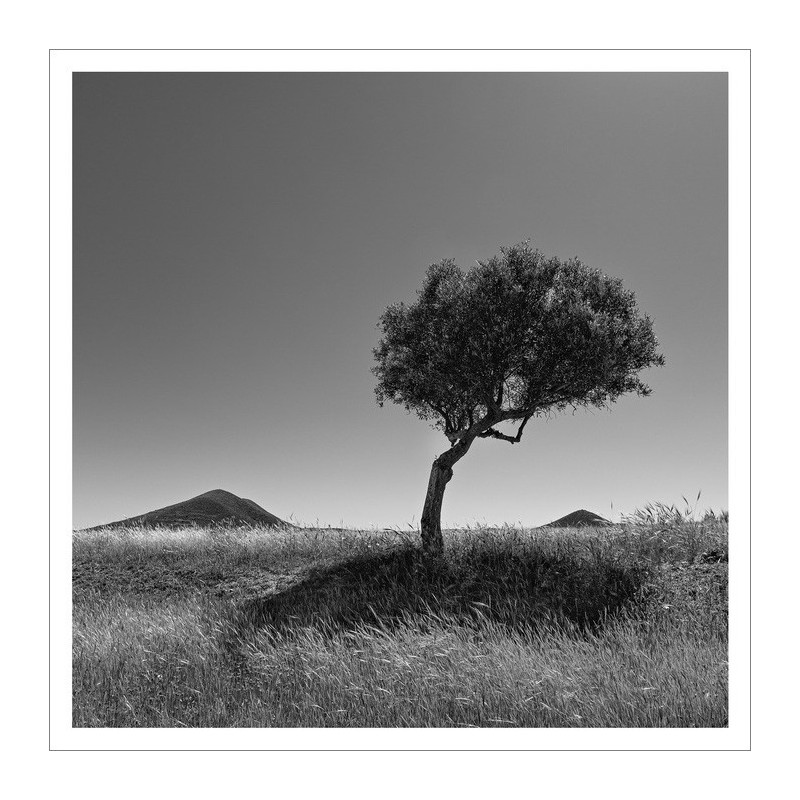 El Silencio y el Cabo 05