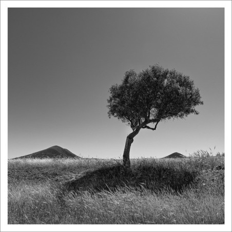 El Silencio y el Cabo 05