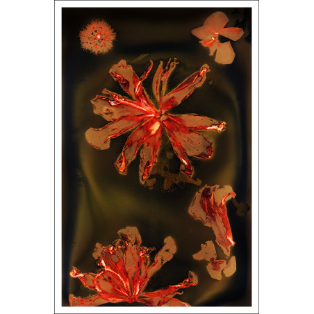Amparo Castillo: Lumen [ART-PAL]