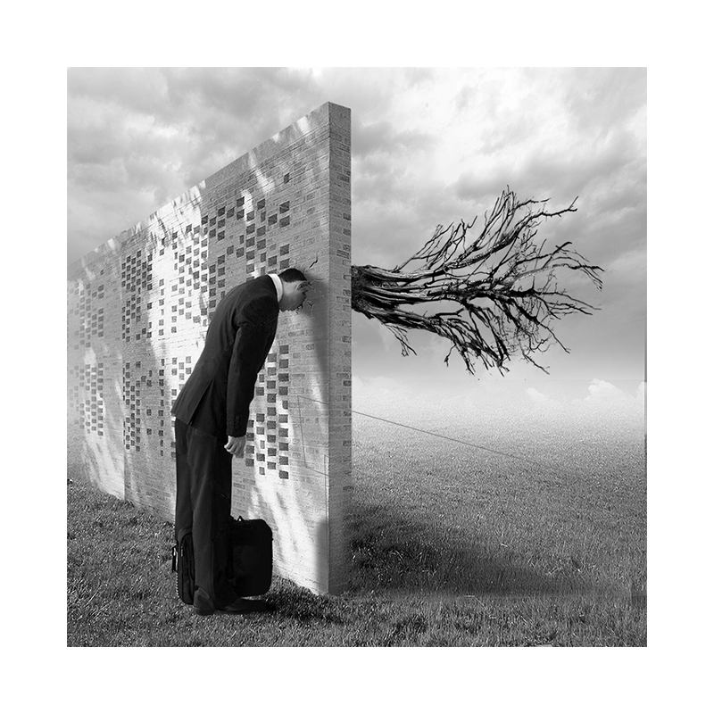 Rafael Cid: Muro