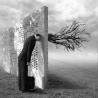 Rafael Cid: Muro