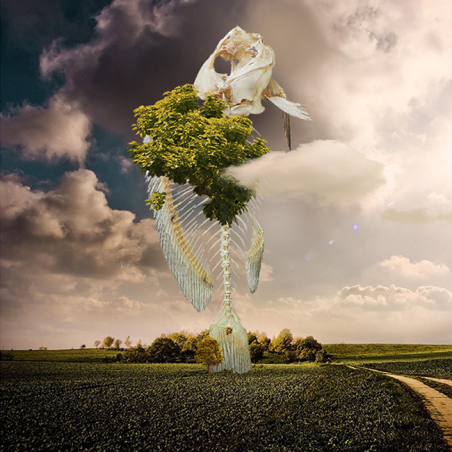copy of copy of copy of copy of copy of copy of copy of copy of copy of copy of copy of copy of copy of copy of copy of copy of