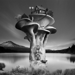 Rafael Cid: Setas con casa