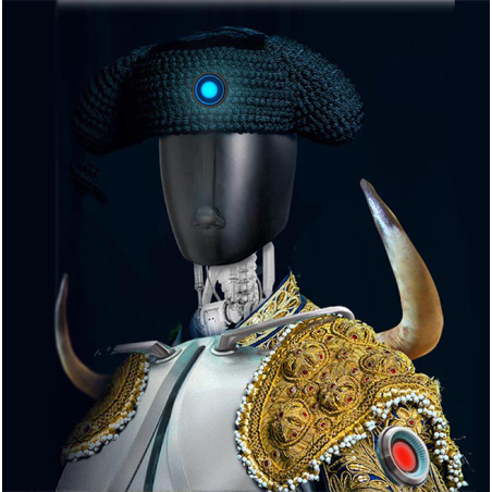 Rafael Cid: Torero