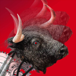 Rafael Cid: Toro