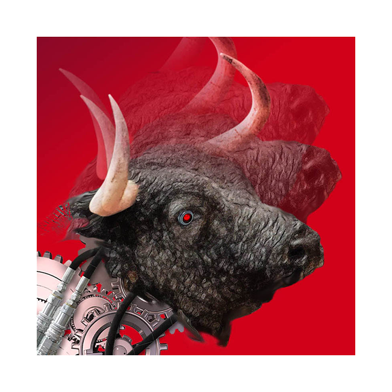 Rafael Cid: Toro