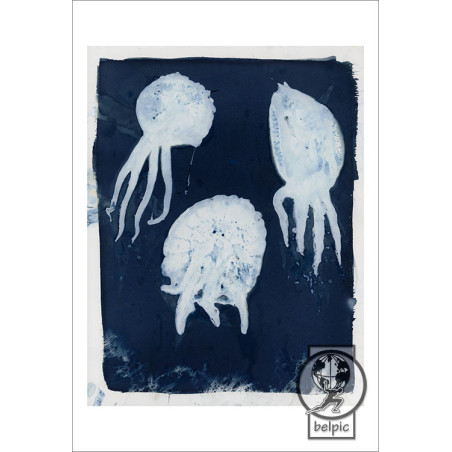 (postal) Medusas 4