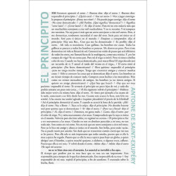 El Principito XXI 61x91